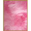 10 gr of PINK feathers