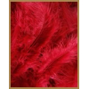 10 gr of RED feathers