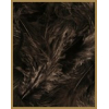 10 gr de plumes NOIRES