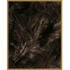10 gr of BLACK feathers