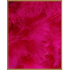 10 gr of FUCHSIA feathers