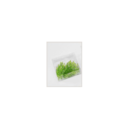 Green plastic clip