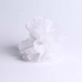 Tulle paper white