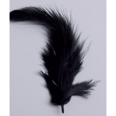 2 gr de mini plumes NOIRES