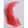 2 gr de mini plumes ROUGE