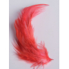 2 gr of small RED feathers