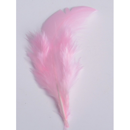 2 gr de mini plumes ROSE