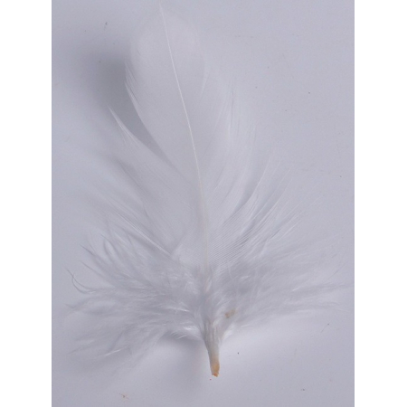 2 gr of small withe feathers